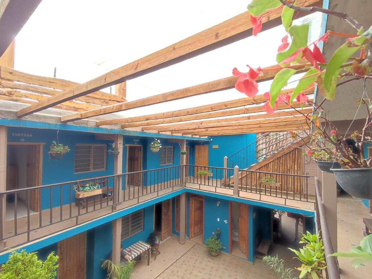 Hostal Ikal Сан-Кристобаль-де-Ла-Касас Экстерьер фото
